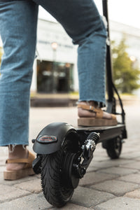 EcoReco Foldable Electric Scooter- L5+